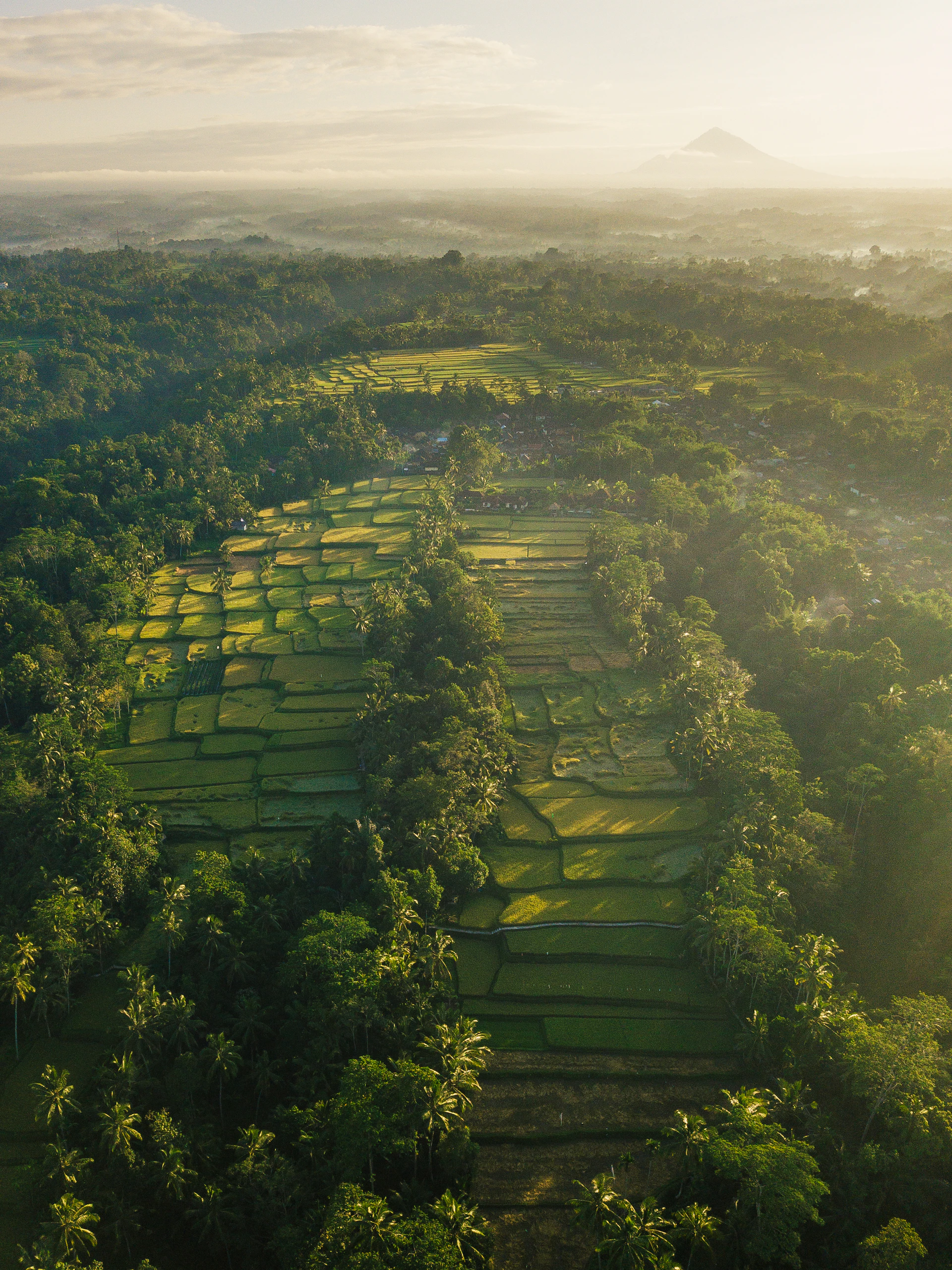 Aerial view of tropical beach in Vietnam