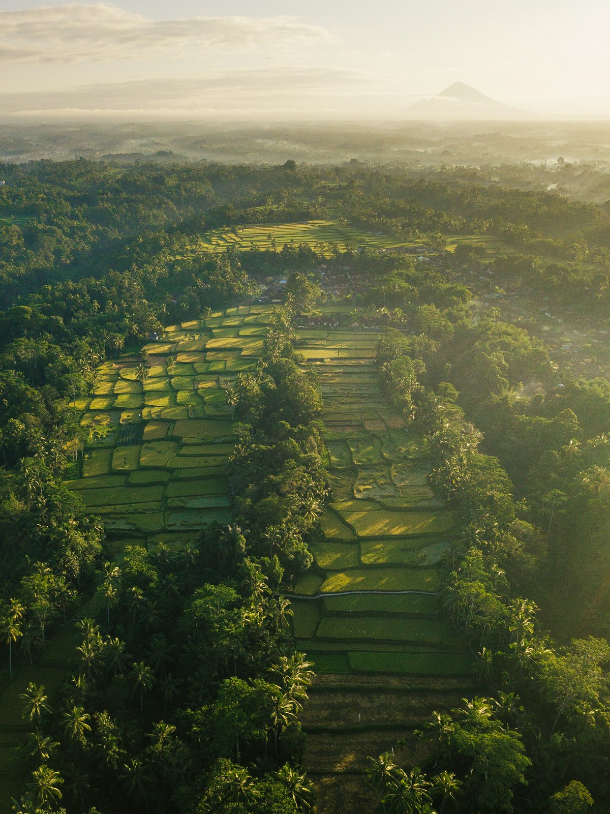 Aerial view of a pristine Indonesian island with turquoise water and tropical greenery