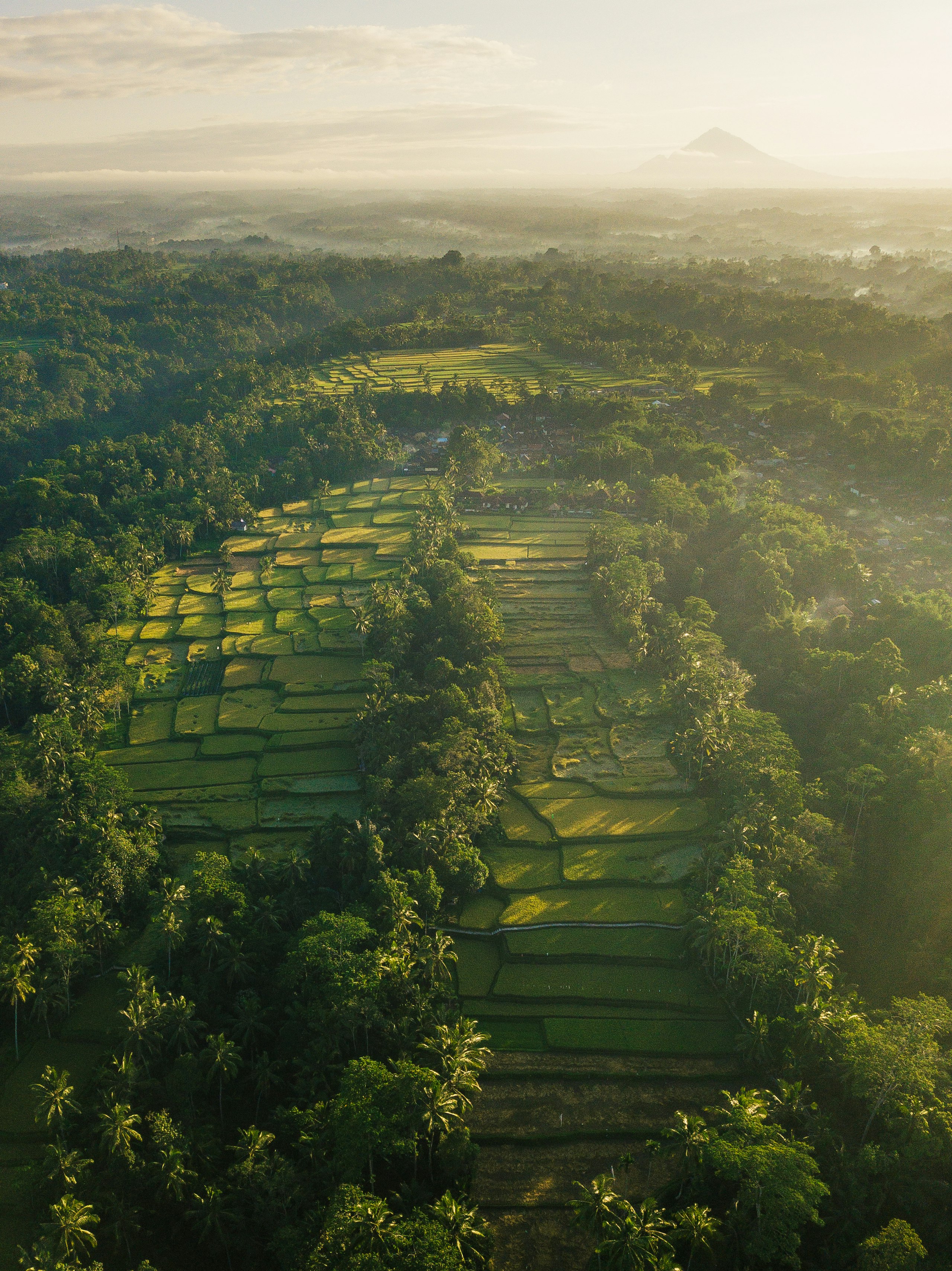 the Philippines