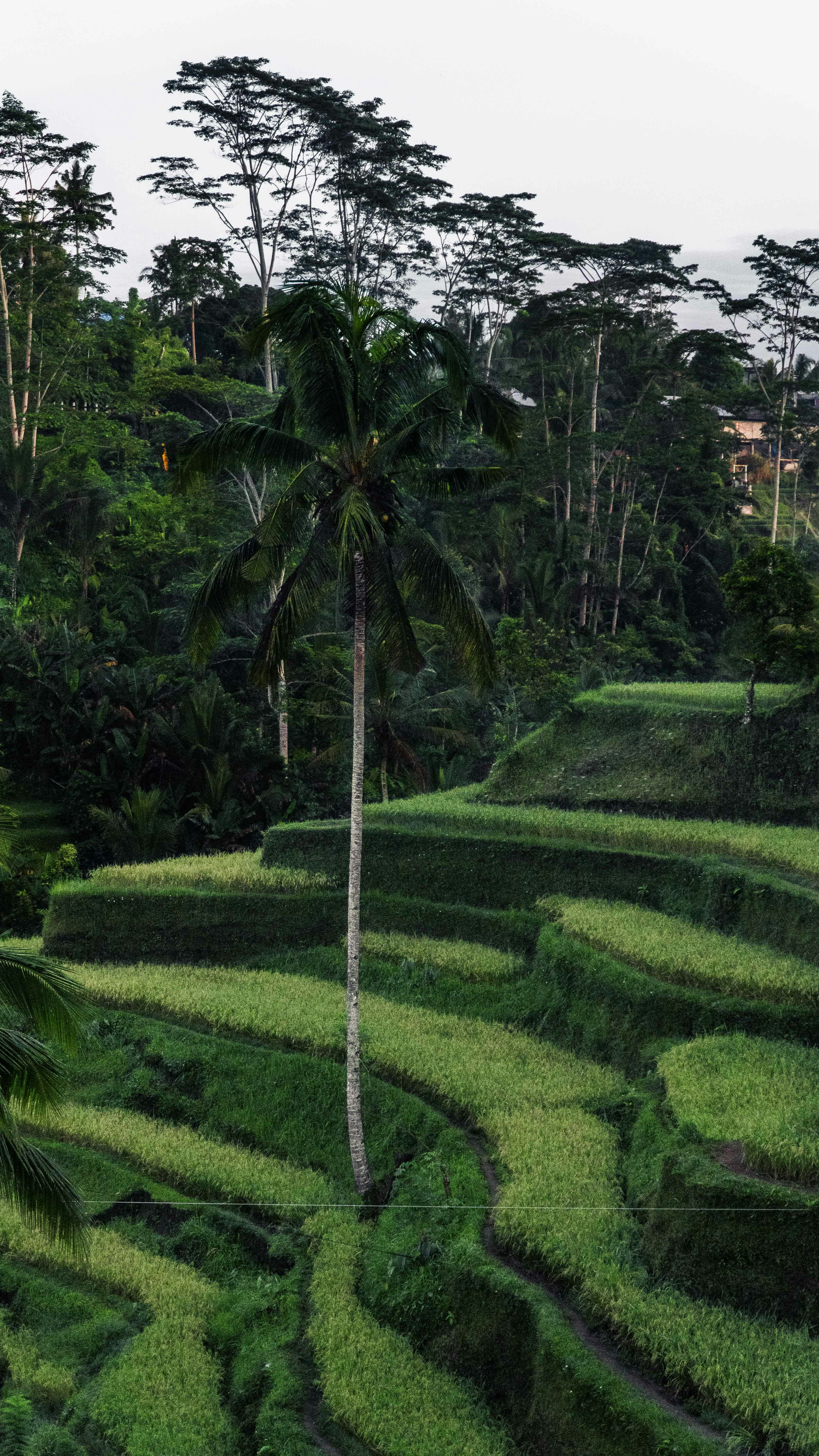 Photo by silasbaisch