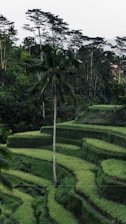 Ubud Bali Holidays