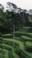 Ubud Bali Holidays