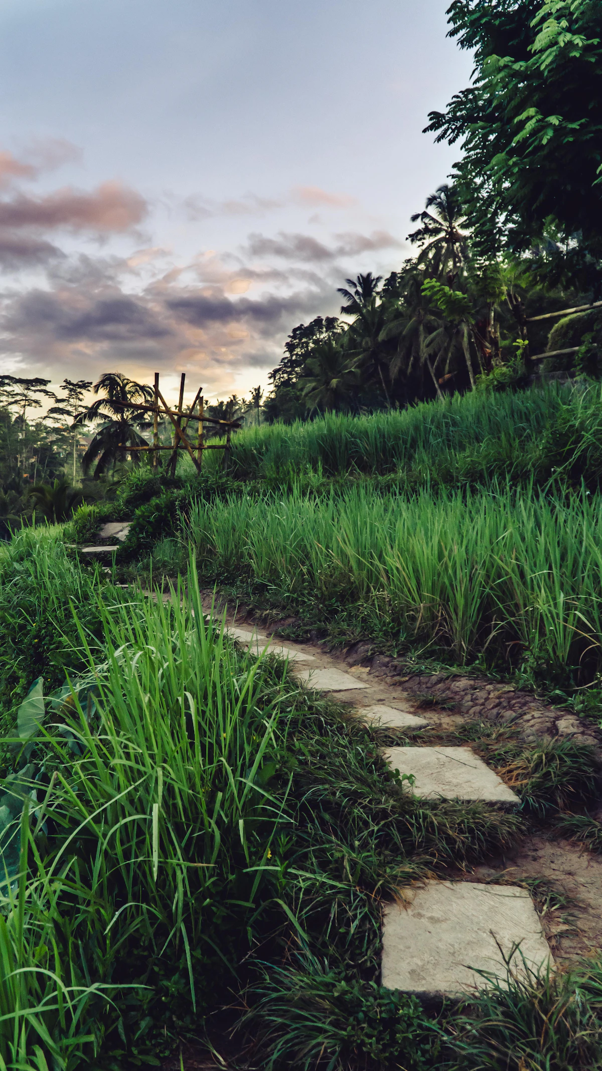 Canggu Permaculture Organic Farm Tour & Farm-to-Table Lunch