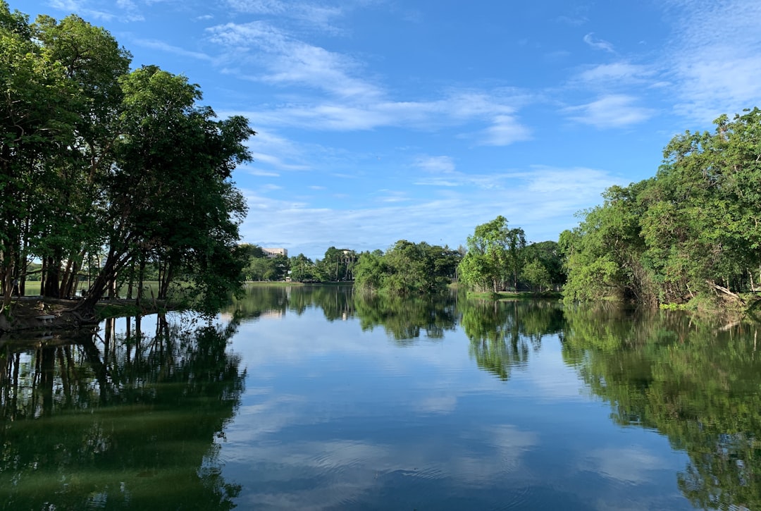 River photo spot Huaykaew Rd Thailand