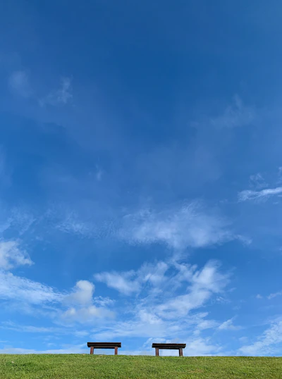 Fischsauce Austernsosse