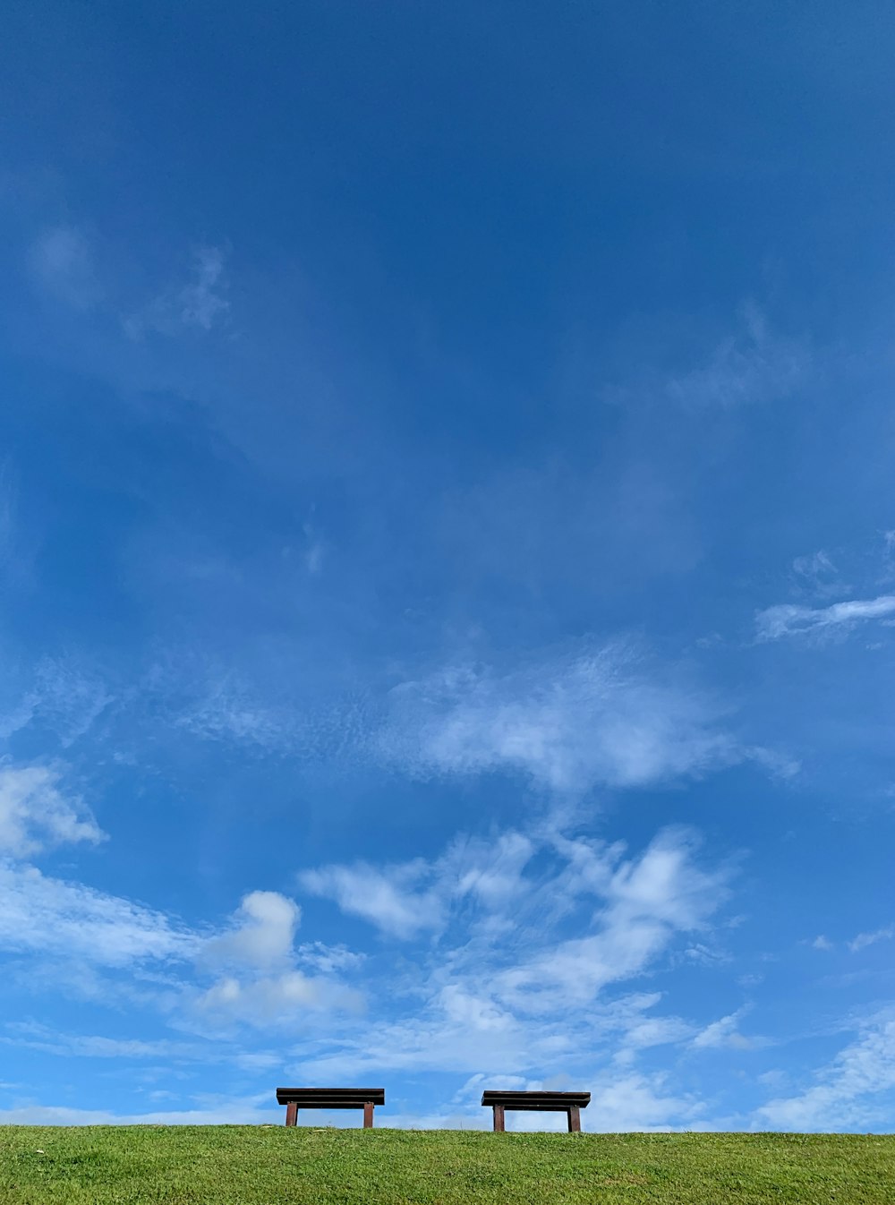 grass field under blue sky