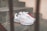 A pair of white athletic shoes with red accents is placed on a set of concrete steps. The shoes have distinct branding and are laced, with one shoe featuring a visible tag.