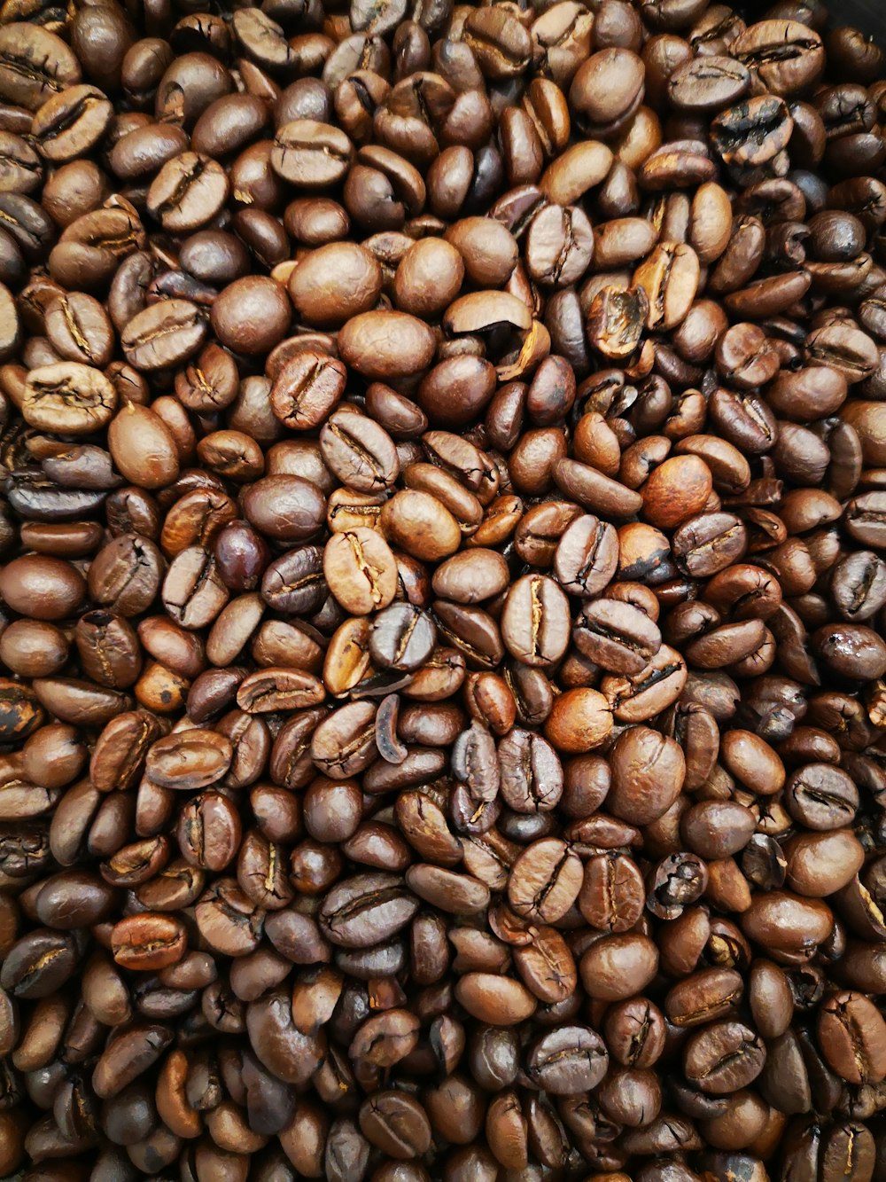 brown coffee beans