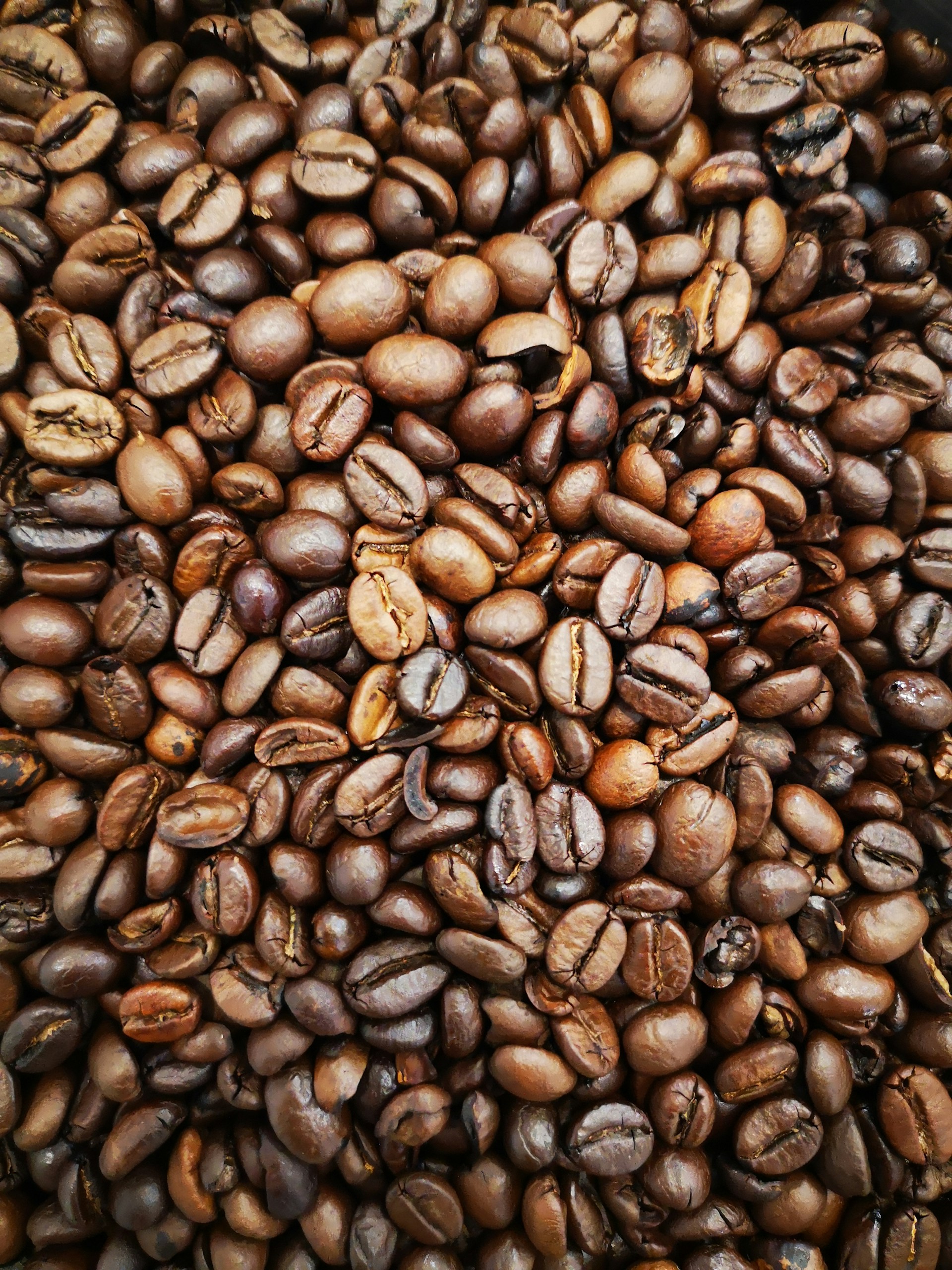 brown coffee beans