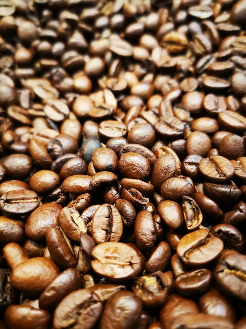 coffee beans