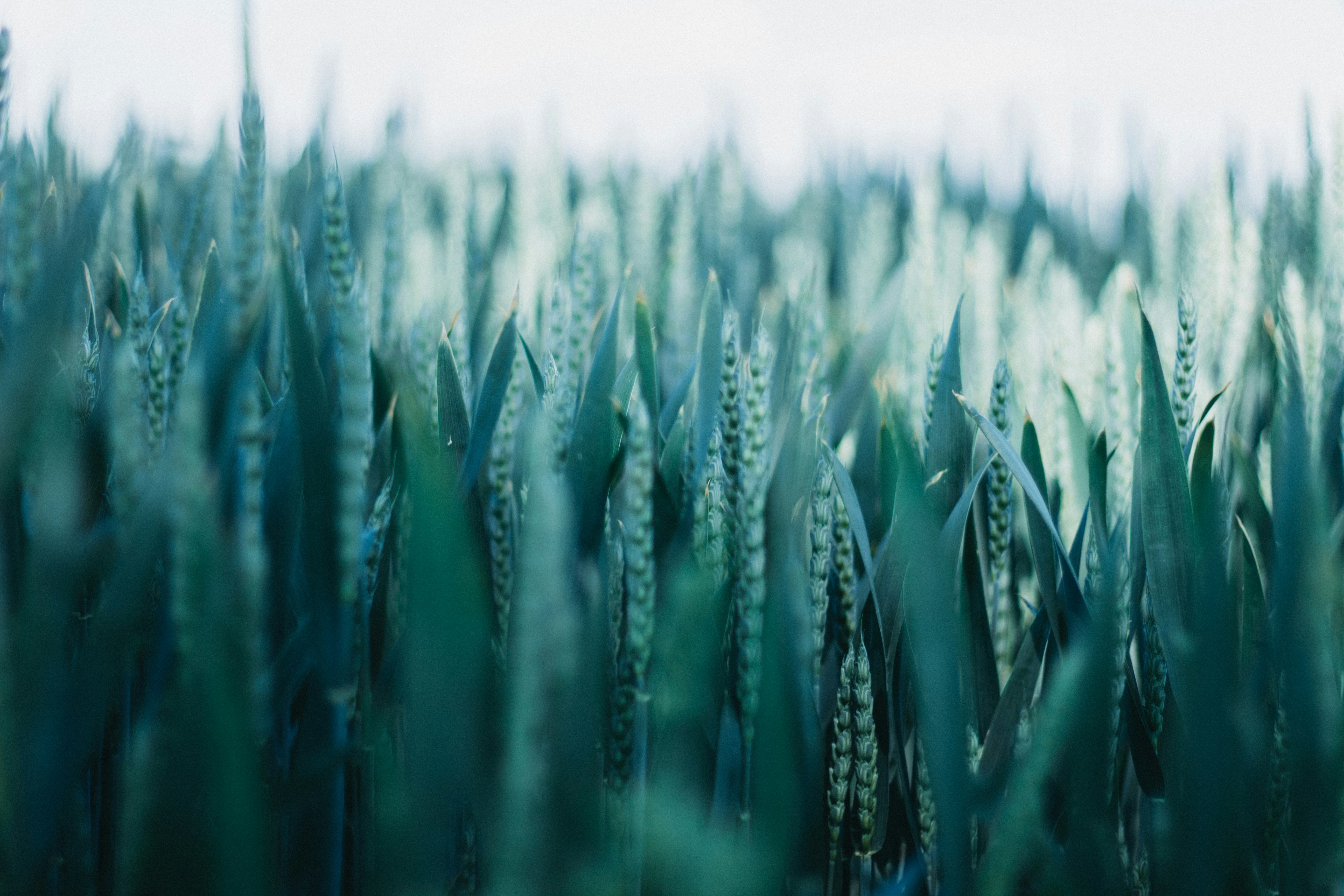 Photo by kozyrka_kate