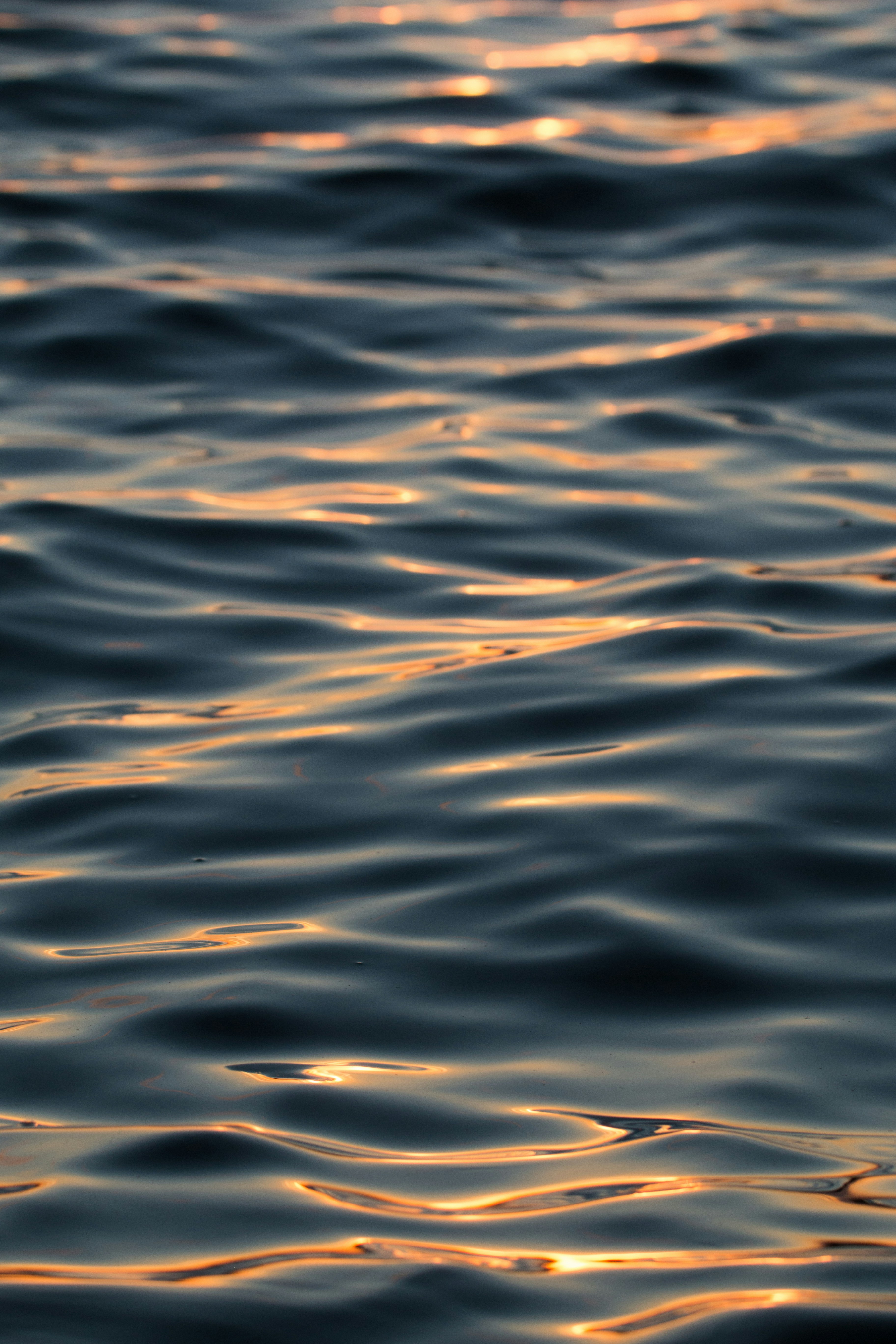 Photo by bradthemann