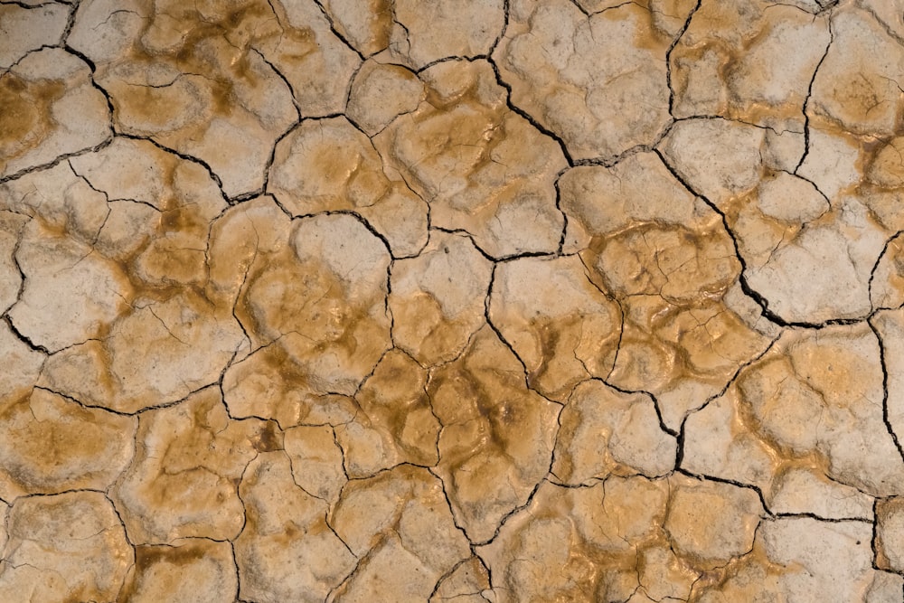 a close up of a cracked concrete surface