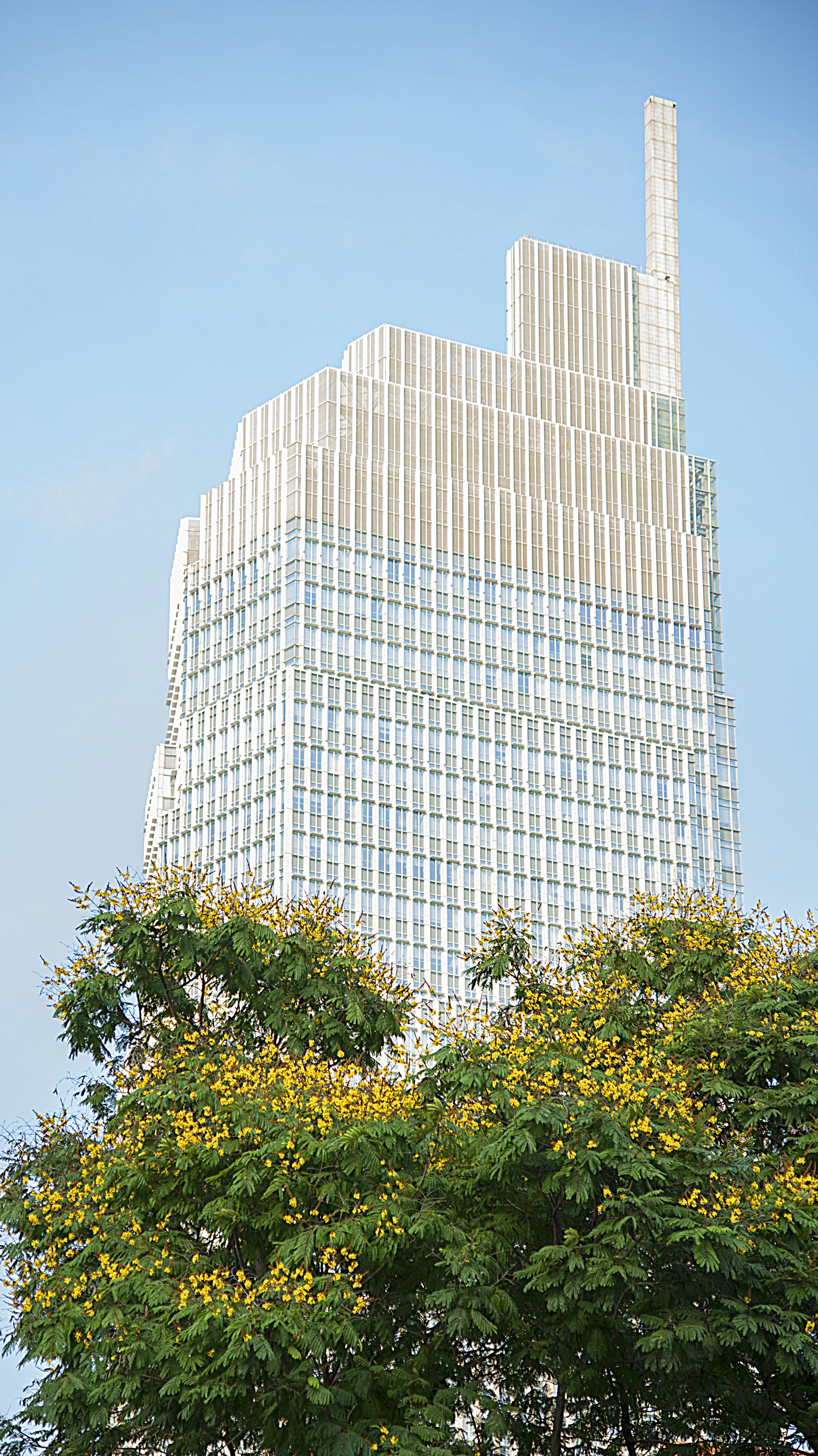 Photo by khanhtrung5492