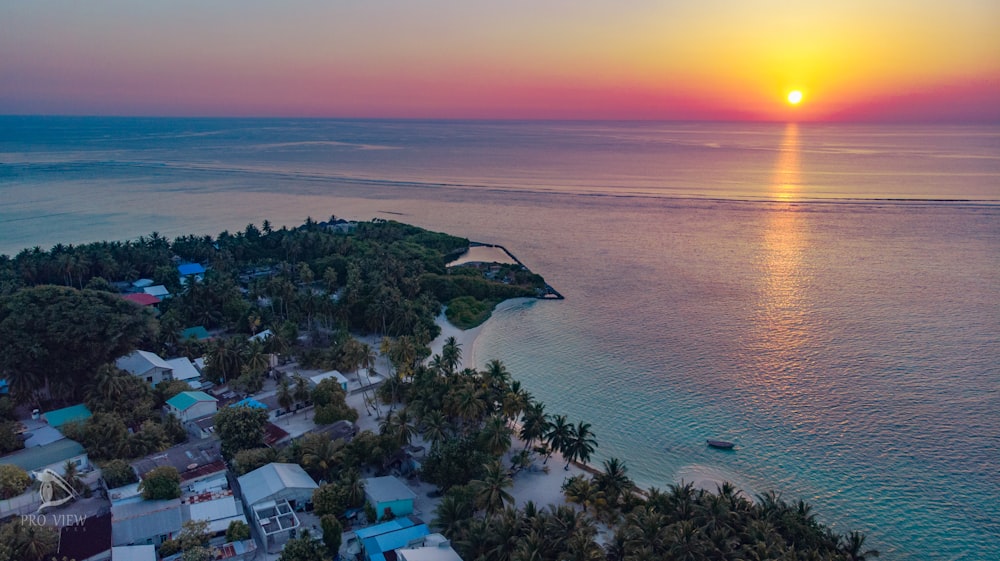 aerial photography of city beside sea during golden hour