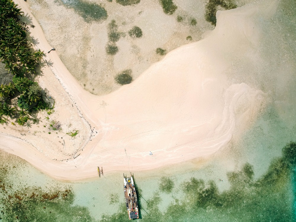 people in beach