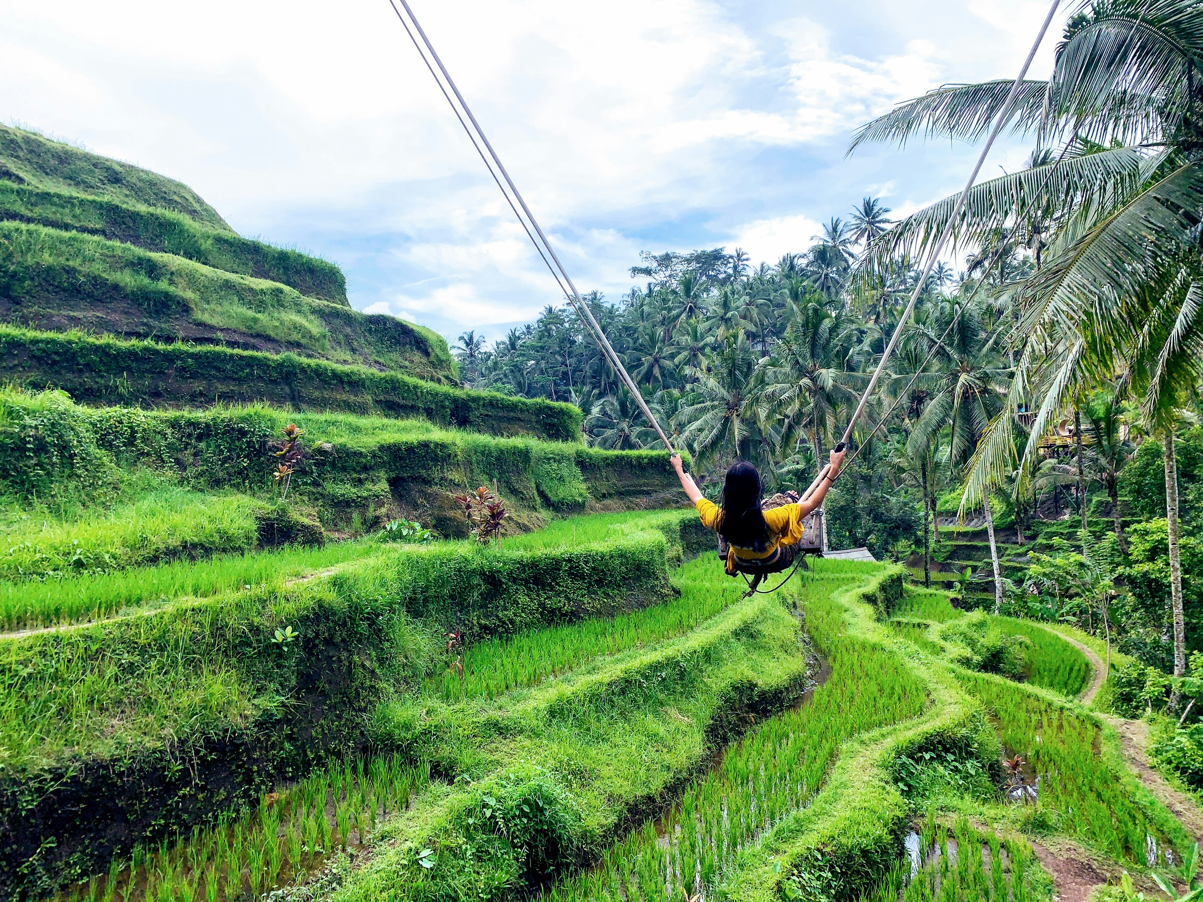woman in yellow shirt doing swing beside green palm trees