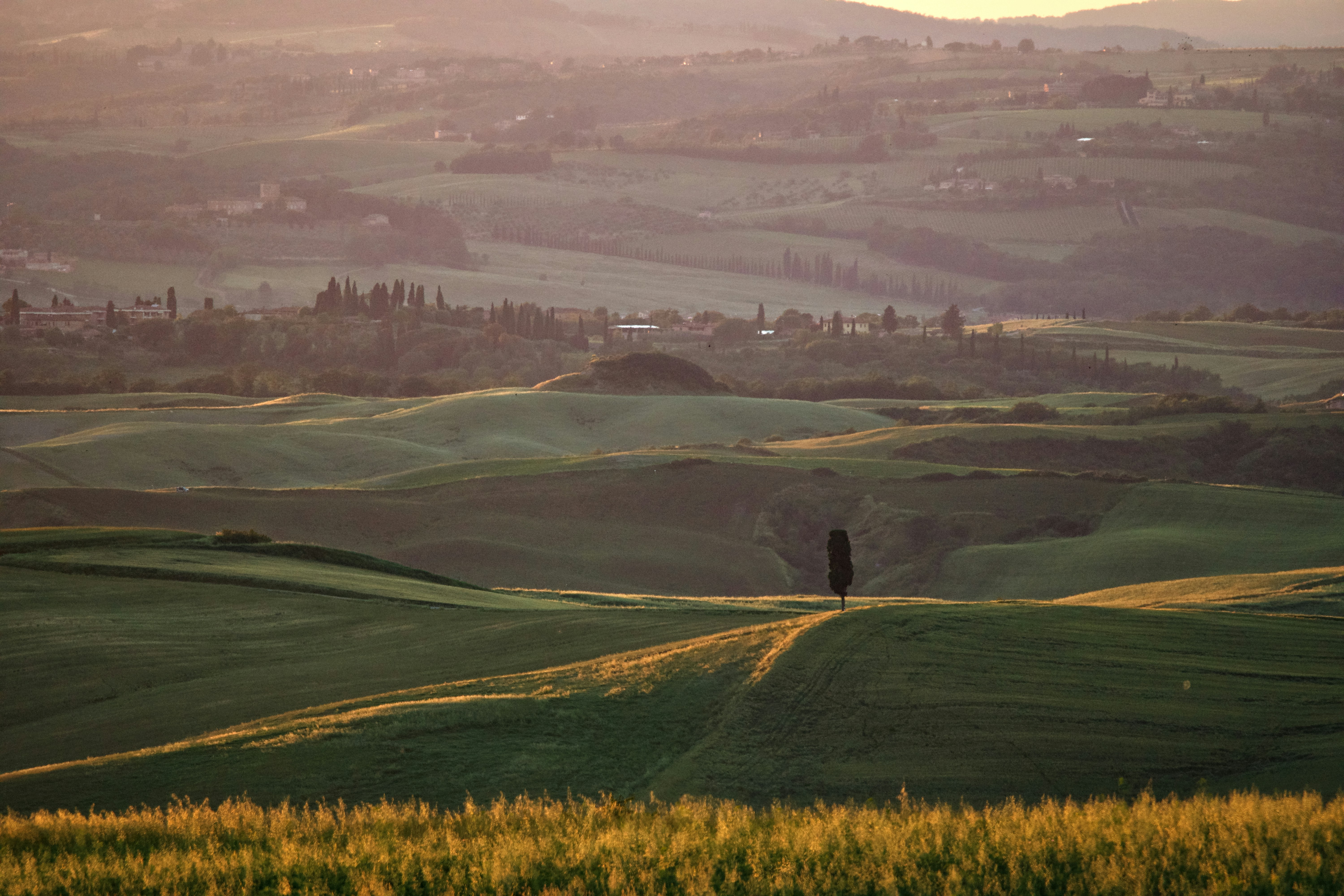 Photography of green grass open-field during daytime
