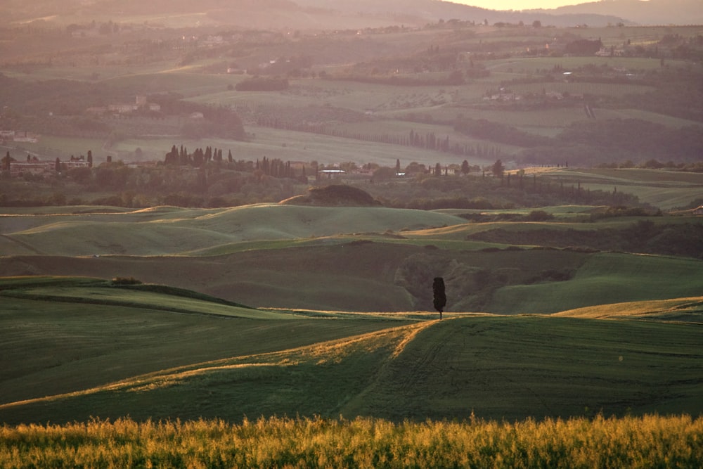 photography of green grass open-field during daytime