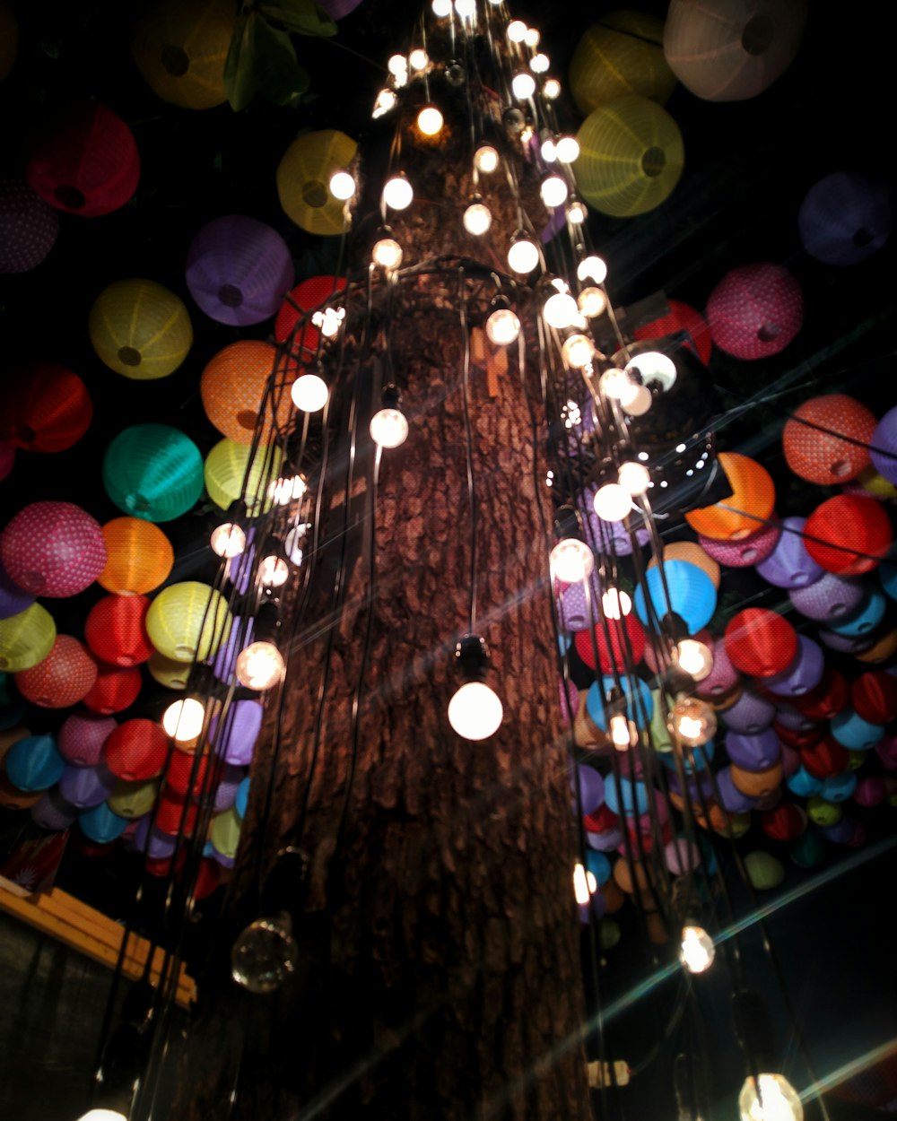 low-angle photography of tree with string lights and lanterns