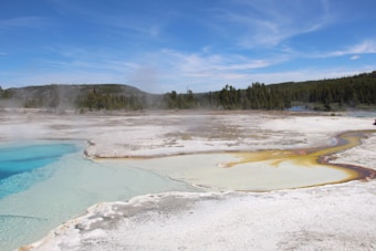A geothermal scene featuring a vibrant hot spring with clear blue water and mineral deposits. Rising steam indicates hot temperatures, while the perimeter displays an array of colors from yellow to brown, blending into the white mineral crust. Beyond the spring, evergreen trees and a blue sky complete the landscape.