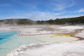 A geothermal scene featuring a vibrant hot spring with clear blue water and mineral deposits. Rising steam indicates hot temperatures, while the perimeter displays an array of colors from yellow to brown, blending into the white mineral crust. Beyond the spring, evergreen trees and a blue sky complete the landscape.