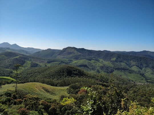 aerial view of trees during daytime in Eravikulam National Park India