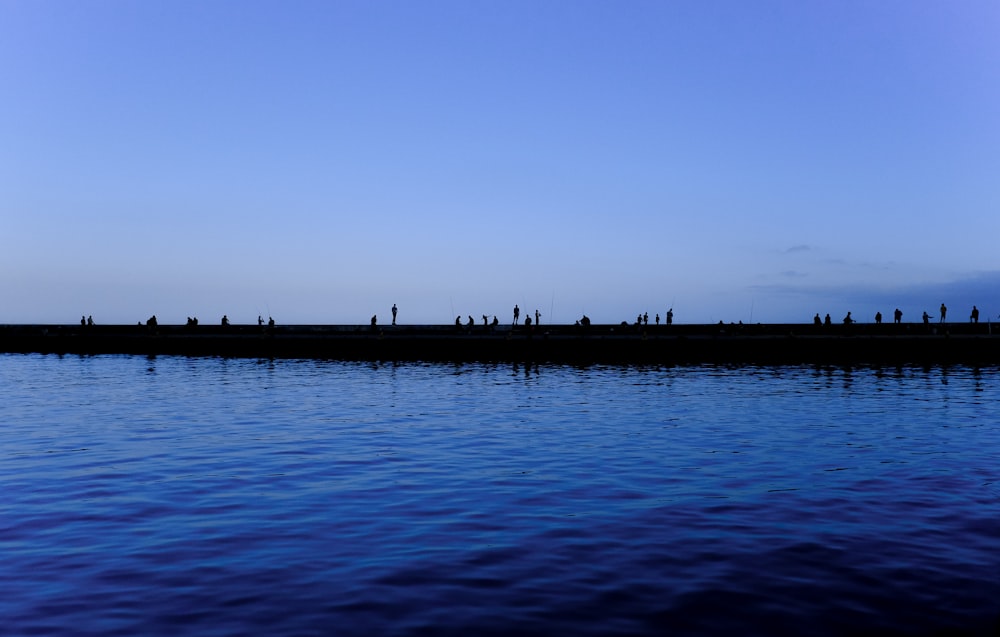 silhouette photo of people on dock above water