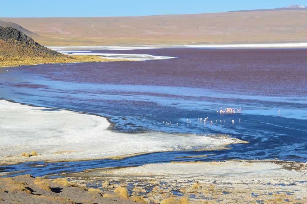 seashore near mountain