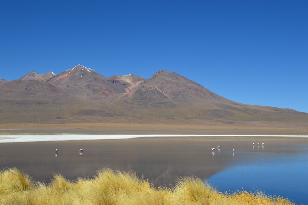 brown mountain near body of water