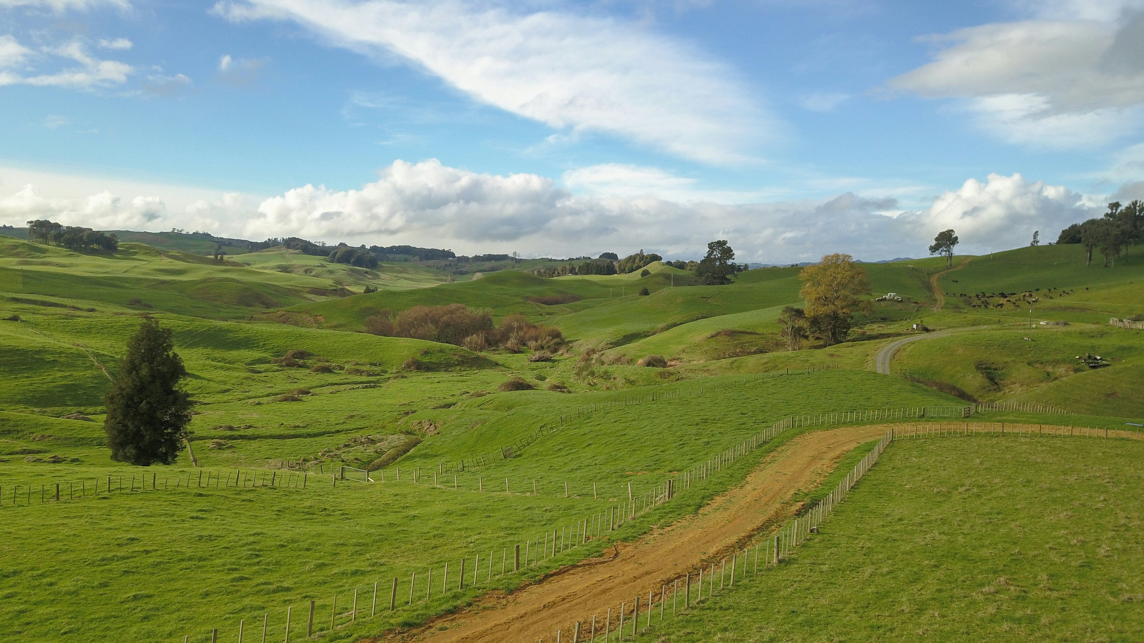 Photo by mr_alexandre