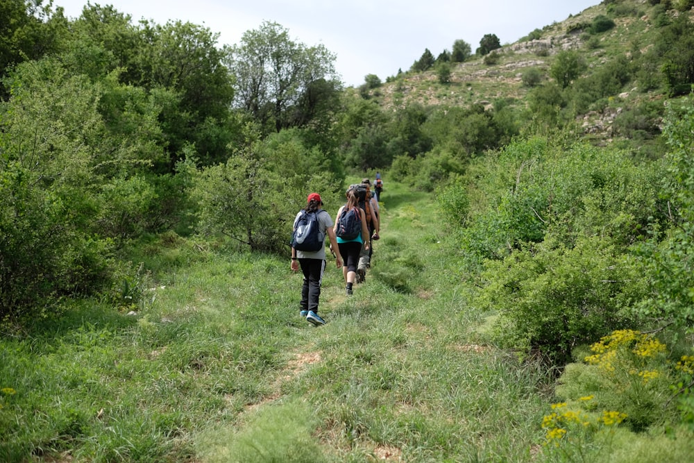 people walking on green grass near outdoor during daytime