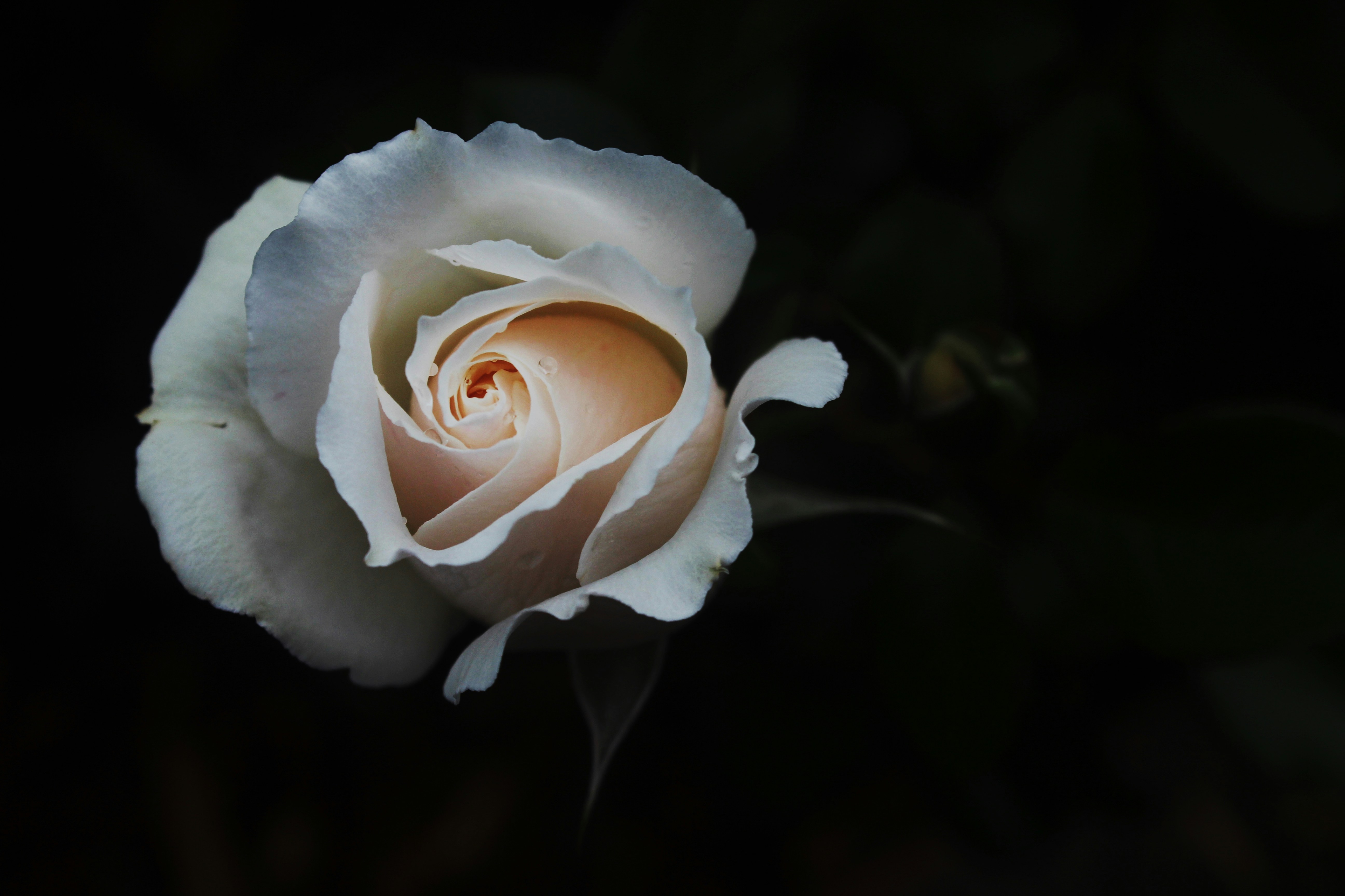 Photo by cassandra_correa