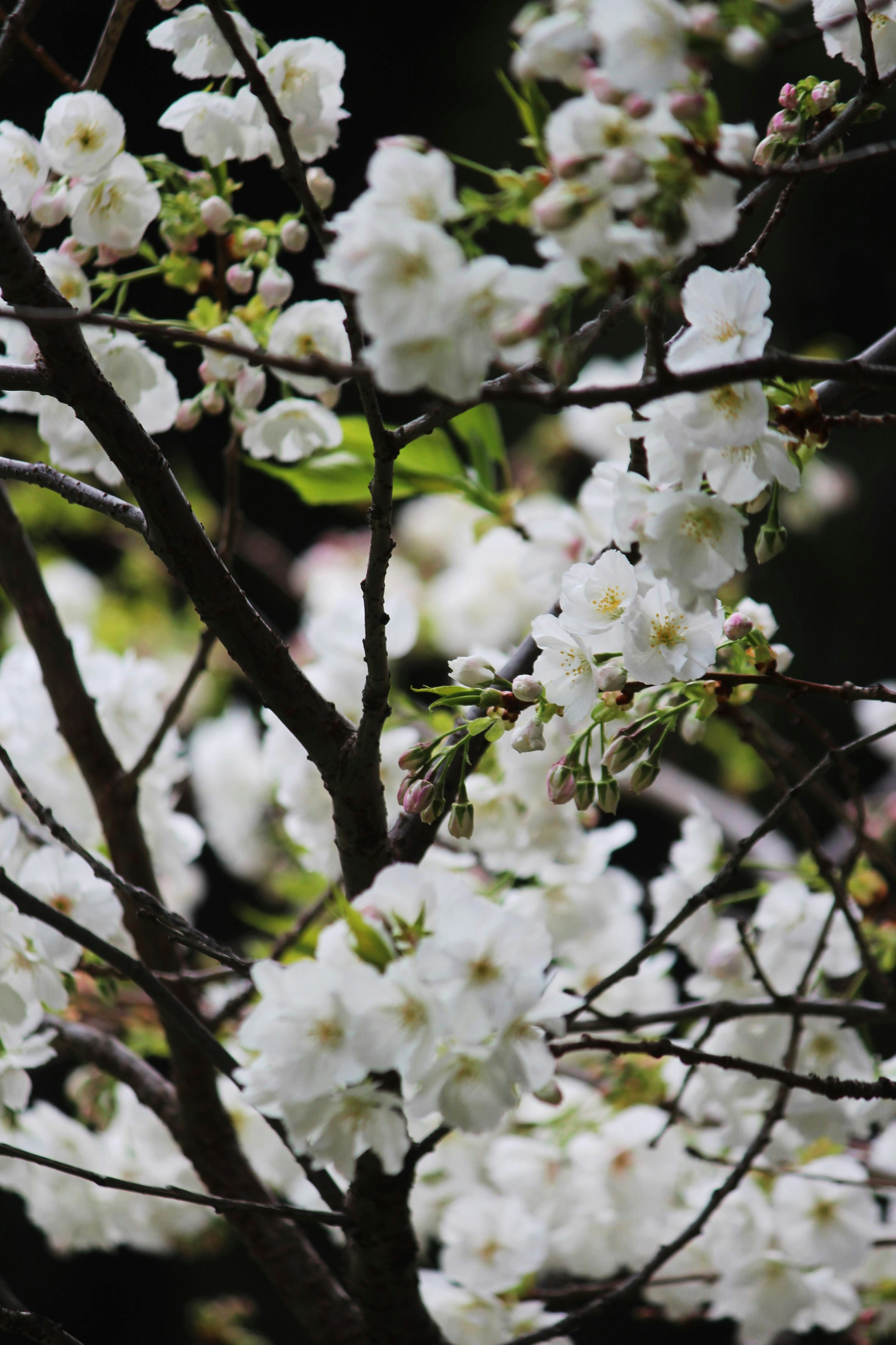 Photo by cassandra_correa