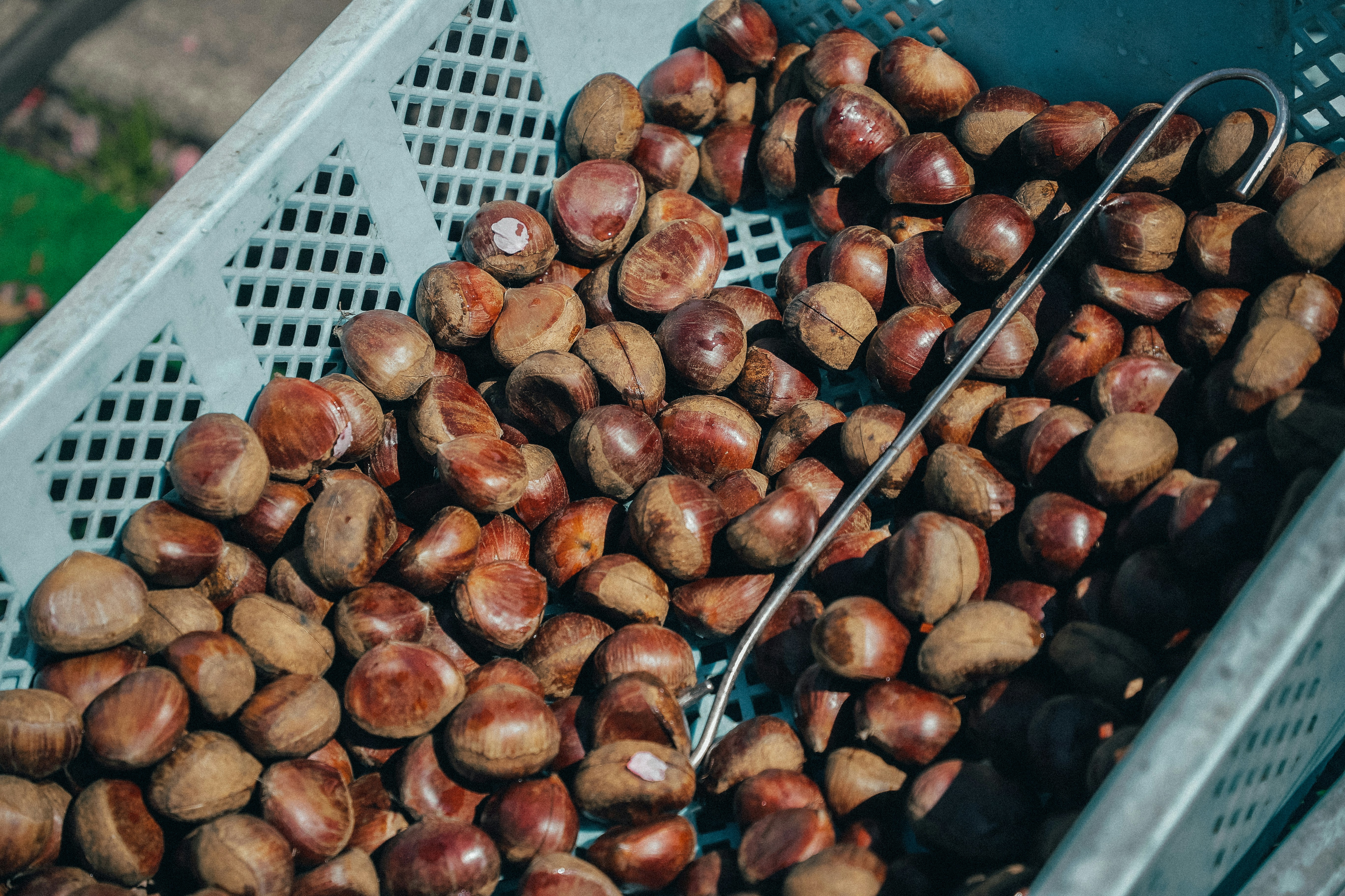 Photo by chrisyangchrisfilm