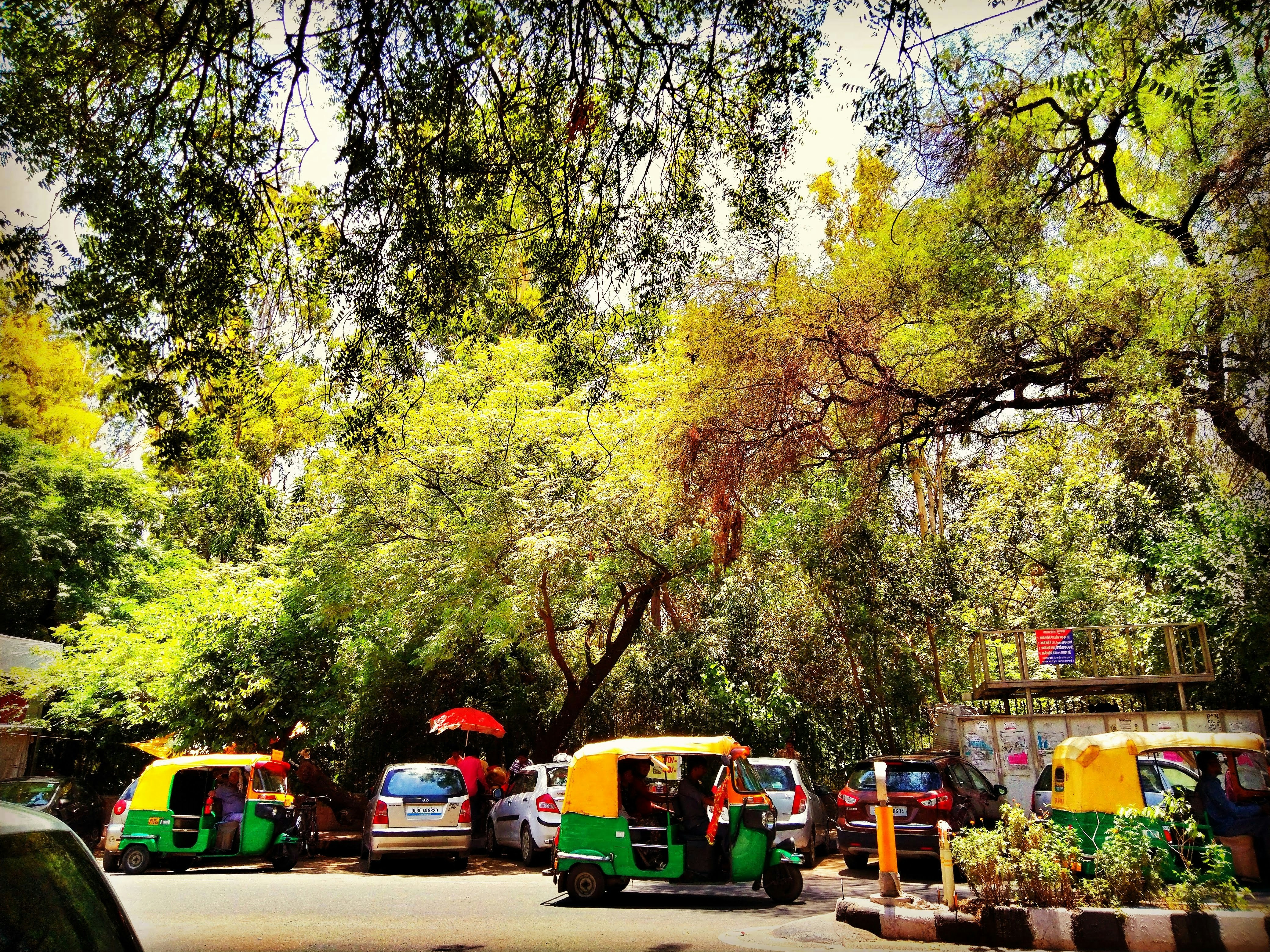 The Monsoon Diary