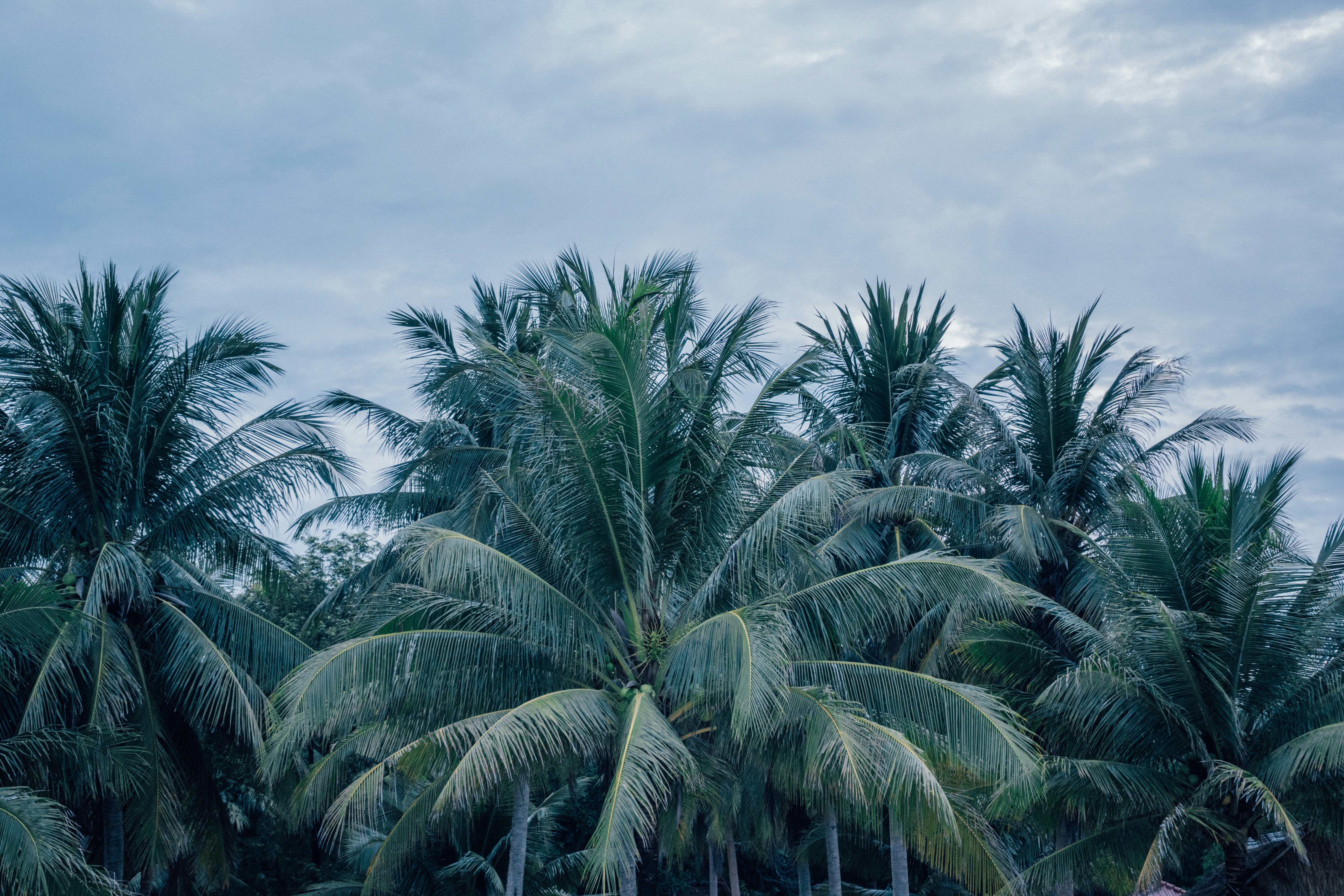 Photo by nicolasjleclercq