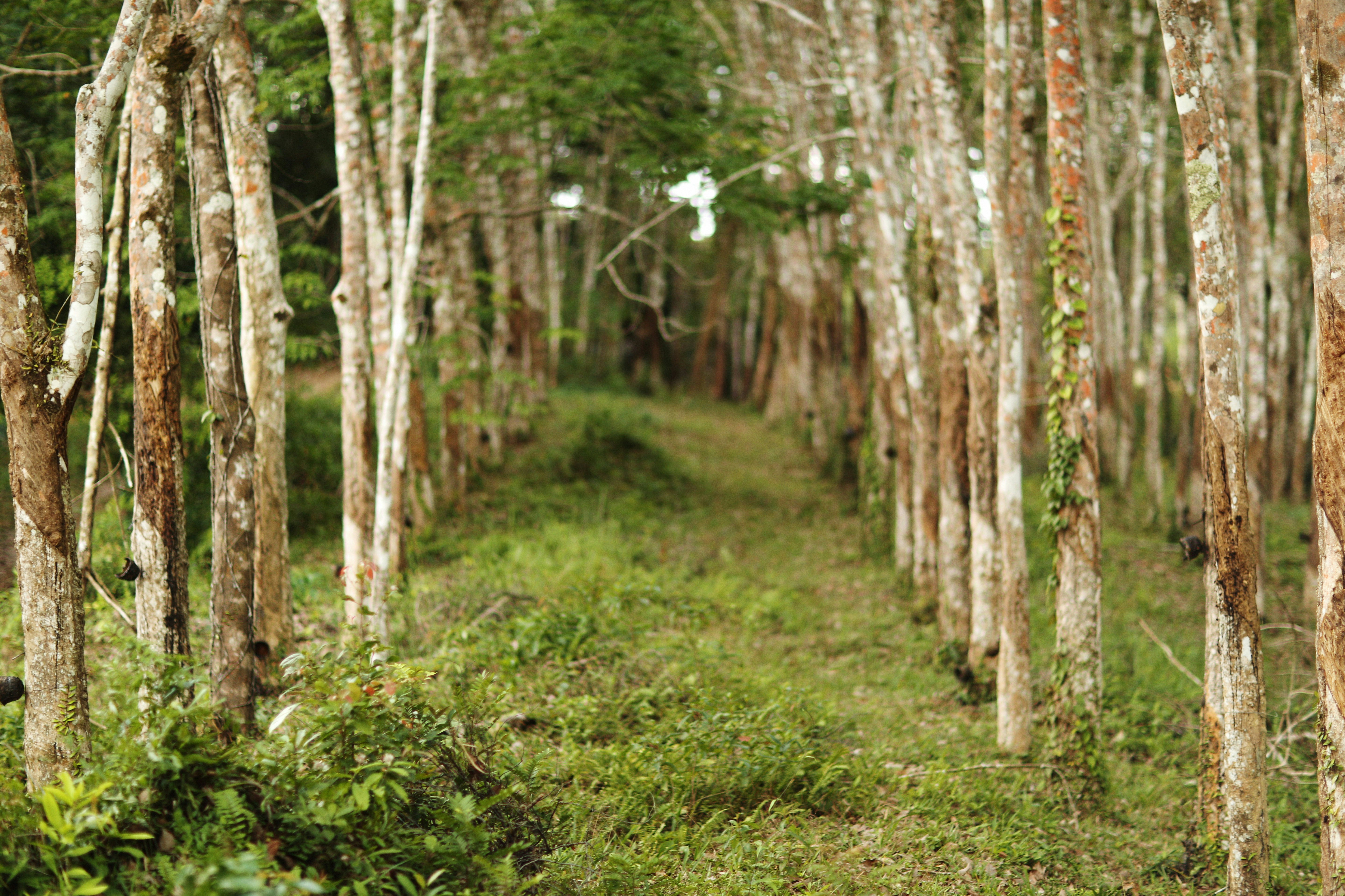 Photo by alexeydemidov