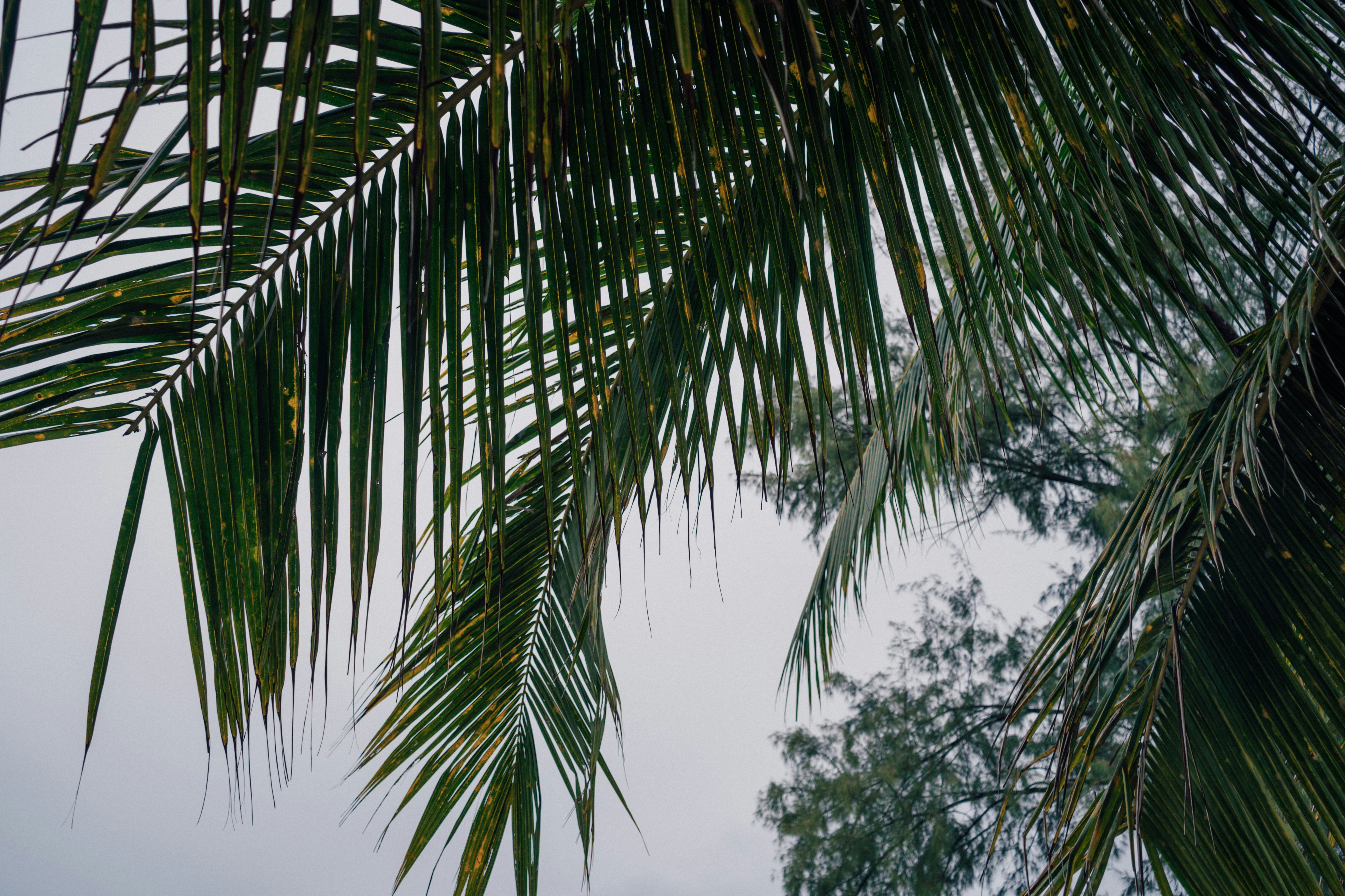 Photo by nicolasjleclercq