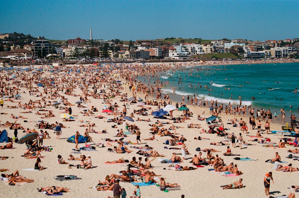 foule de gens sur le bord de la mer pendant la journée