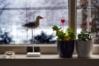Bright window sill adorned with small cardinal statues and blooming flowers.
