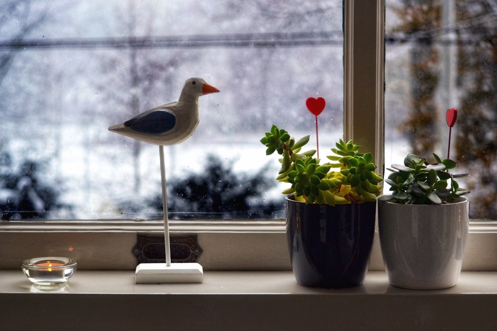 white and brown bird ornament beside two plants