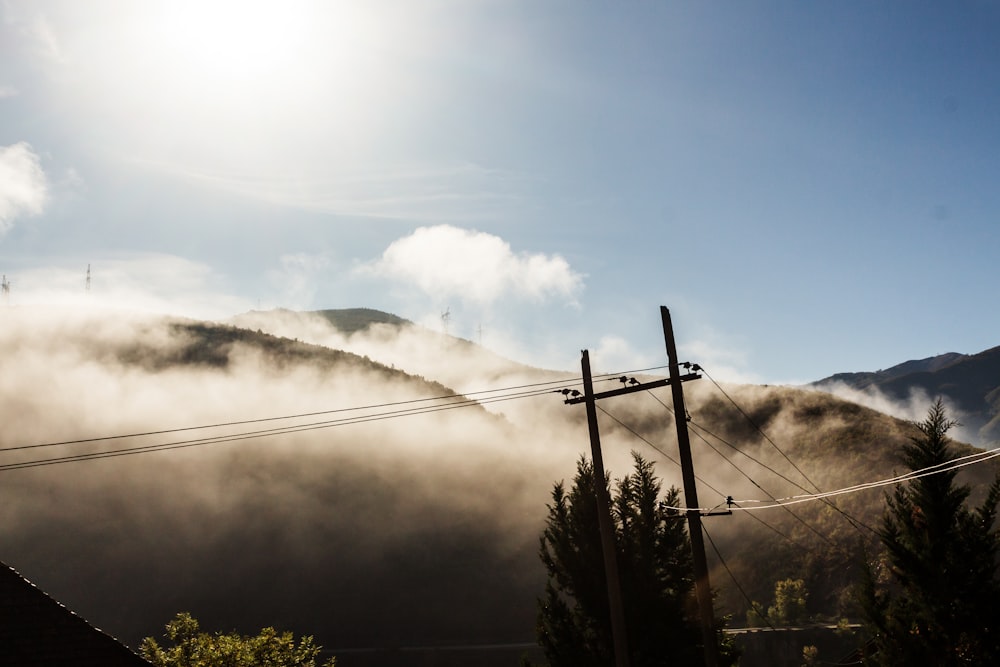 landscape photography of mountain cover with fog