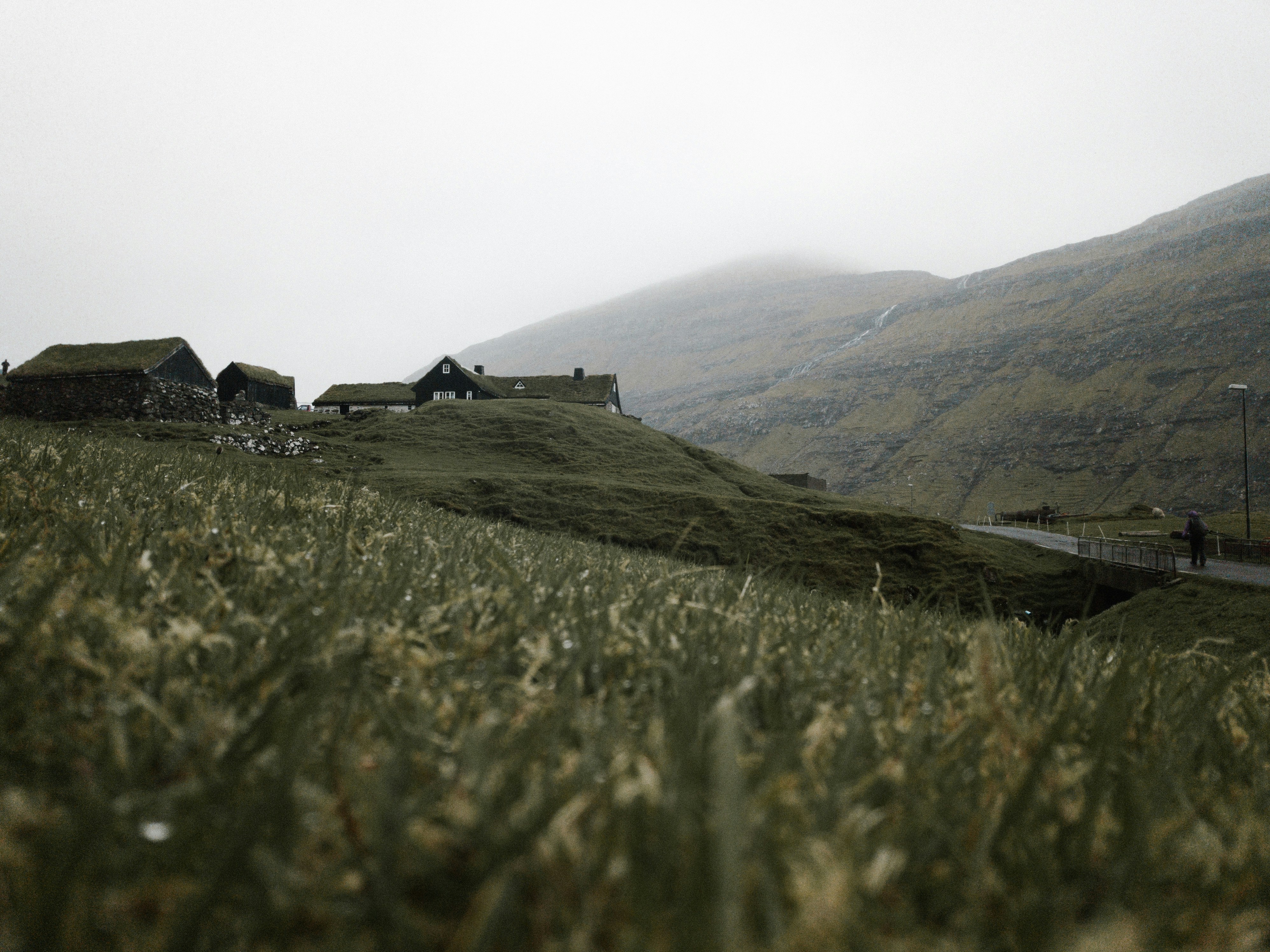 Photo by anniespratt