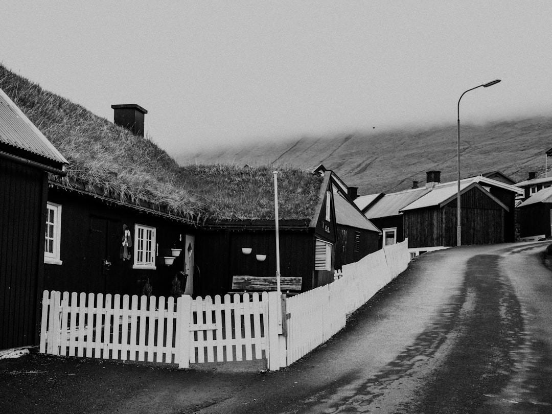 grayscale photo of houses beside road