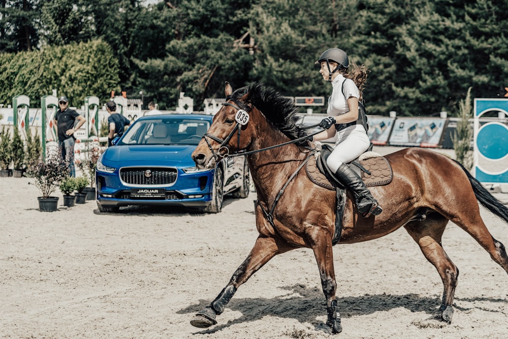 woman on brown horse