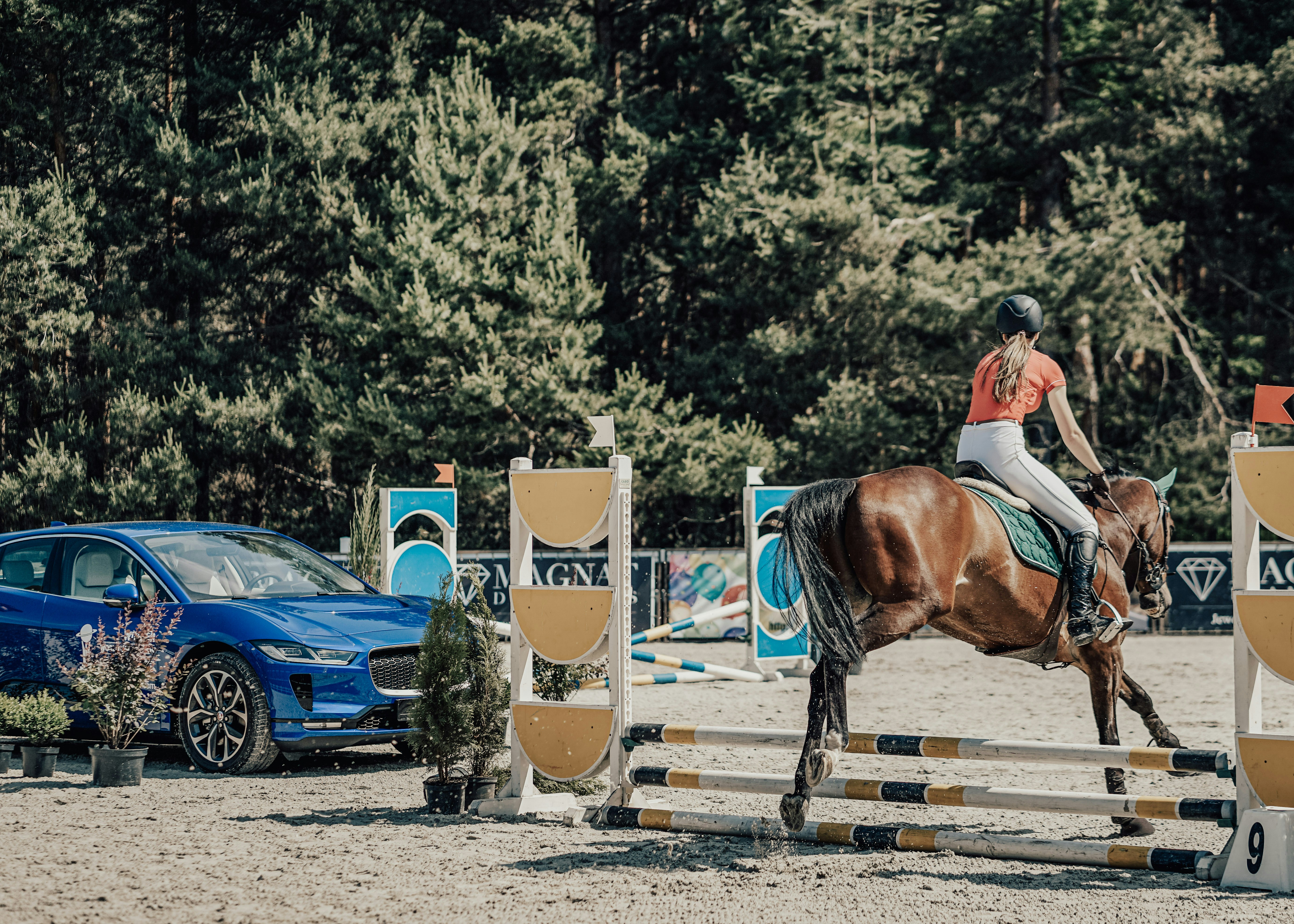 person wearing white pants riding brown horse