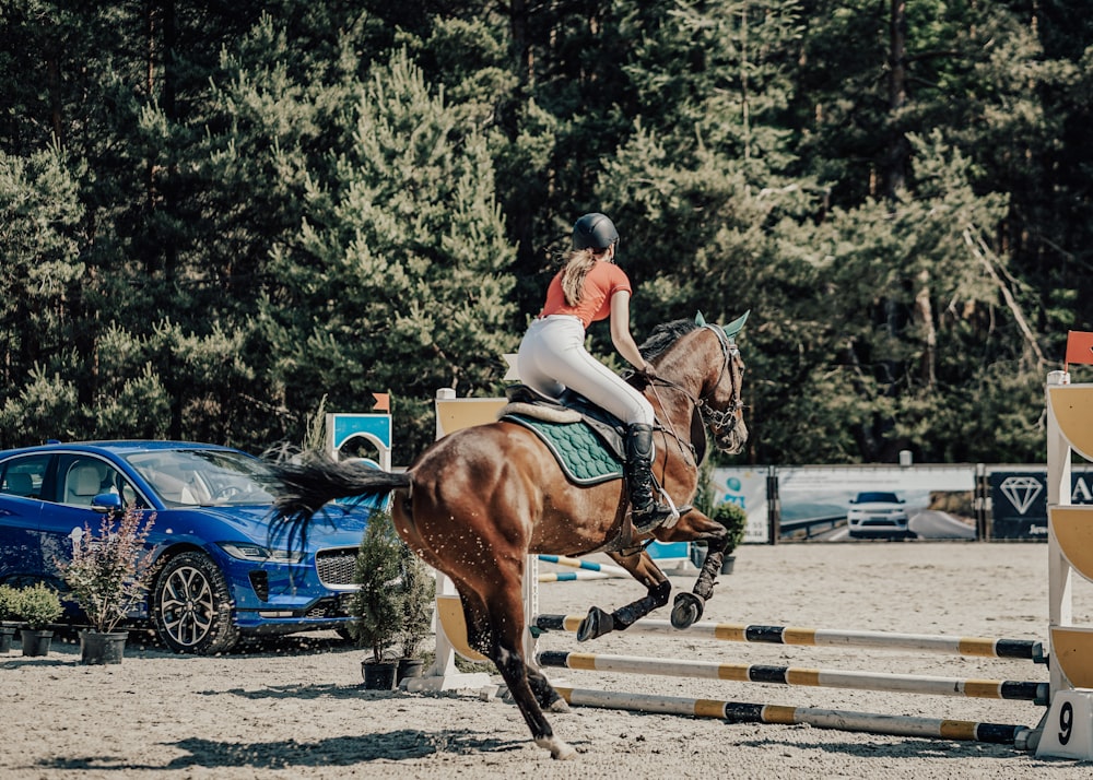 unknown person riding on brown horse