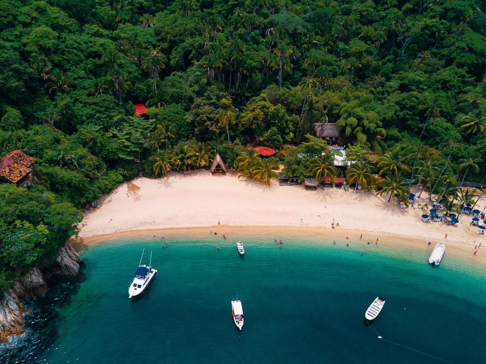 aerial view of beach with boats and people walking around