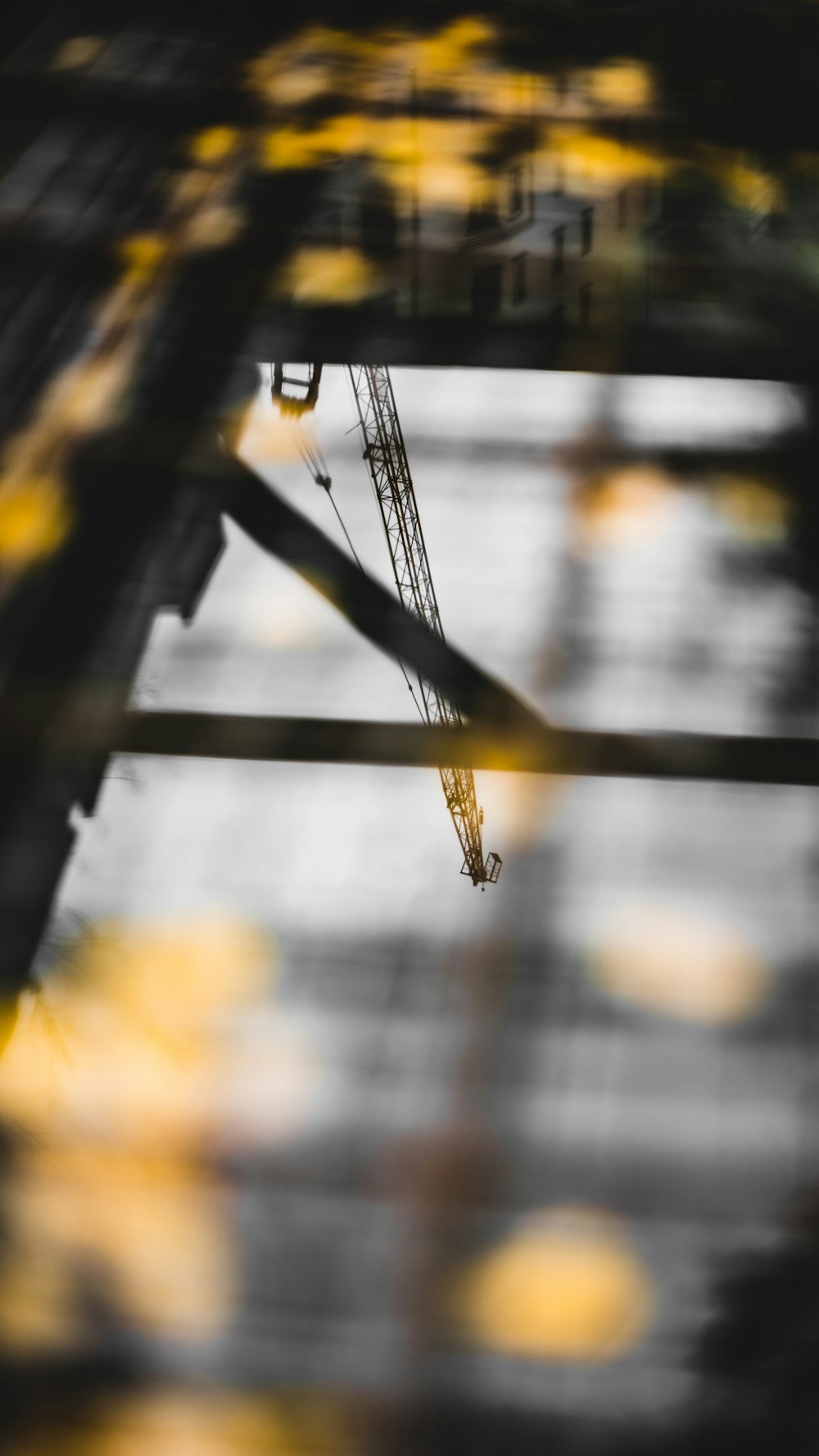 the reflection of a crane in a puddle of water